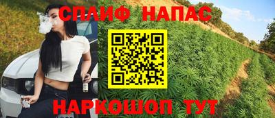 стафф Ярославль