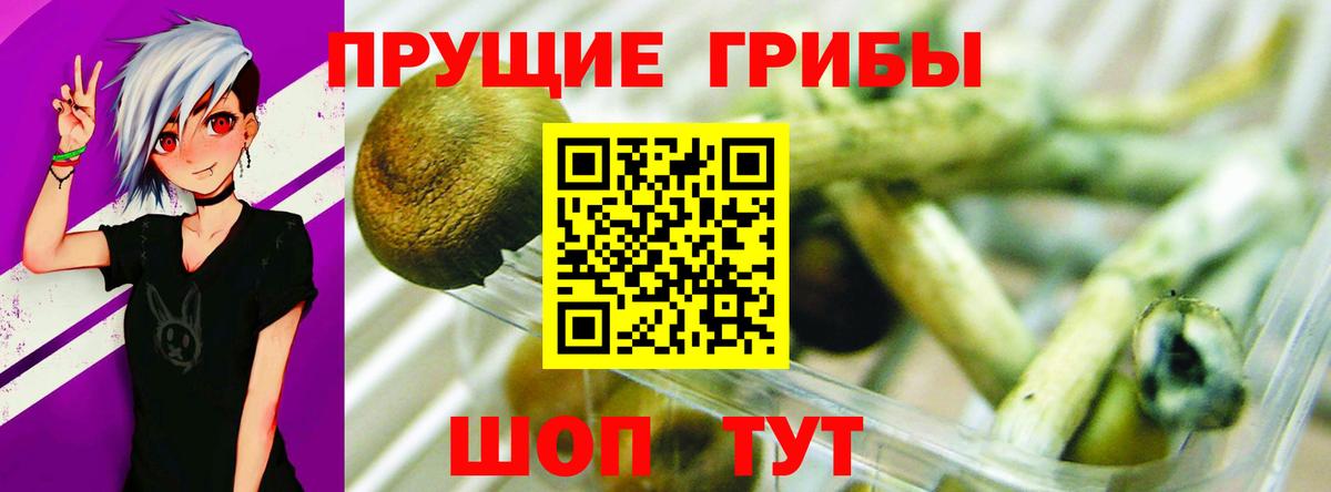 Галлюциногенные грибы GOLDEN TEACHER  магазин    Юрга  Вход с VPN 